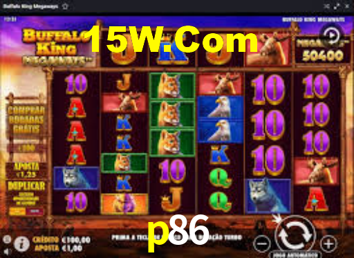 Premium Interface p86